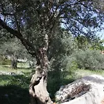 With Parking Space - Trogir - 6117 Apartamento *